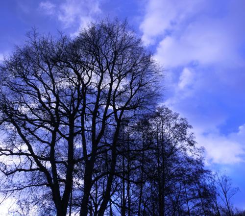 P1000248-2-Avec accentuation 2