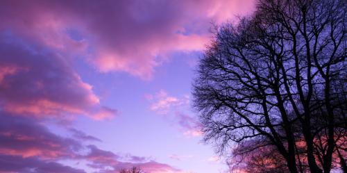 P1000257-Avec accentuation 2