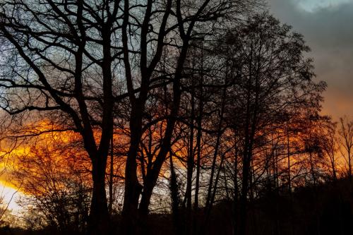 P1000261-Avec accentuation 2