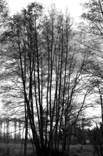 P1000397-Avec accentuation 3