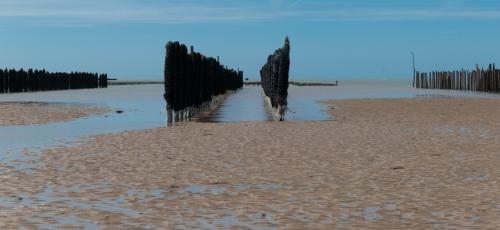 Marée BasseP1000772