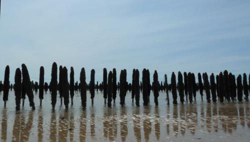 Marée BasseP1000776b