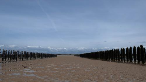 Marée BasseP1000789