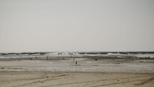 Marée BasseP1000878