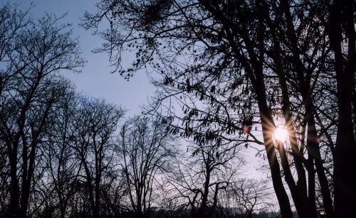 P1010765-Avec accentuation 2