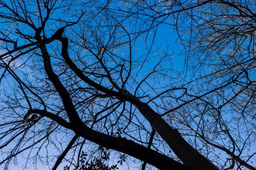 P1010774-Avec accentuation 2