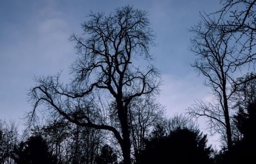 P1010784-Avec accentuation 2