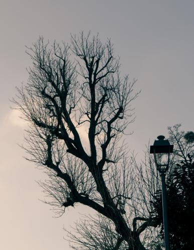 P1010800-Avec accentuation 2