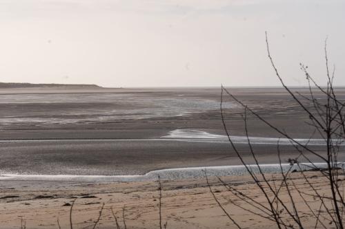 Marée BassePK705305